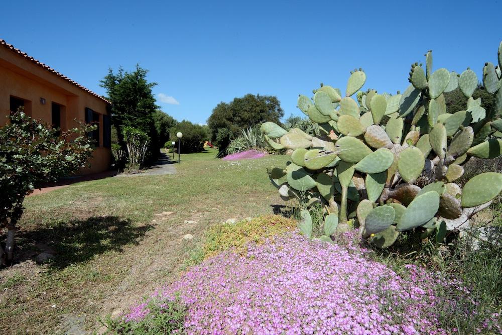 Residence Baia Salinedda Capo Coda Cavallo Buitenkant foto